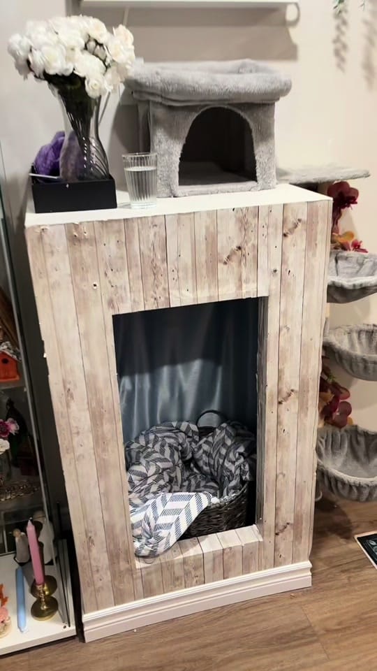 Post 5 by theKittens🐈🐈‍⬛ on TikTok (video)