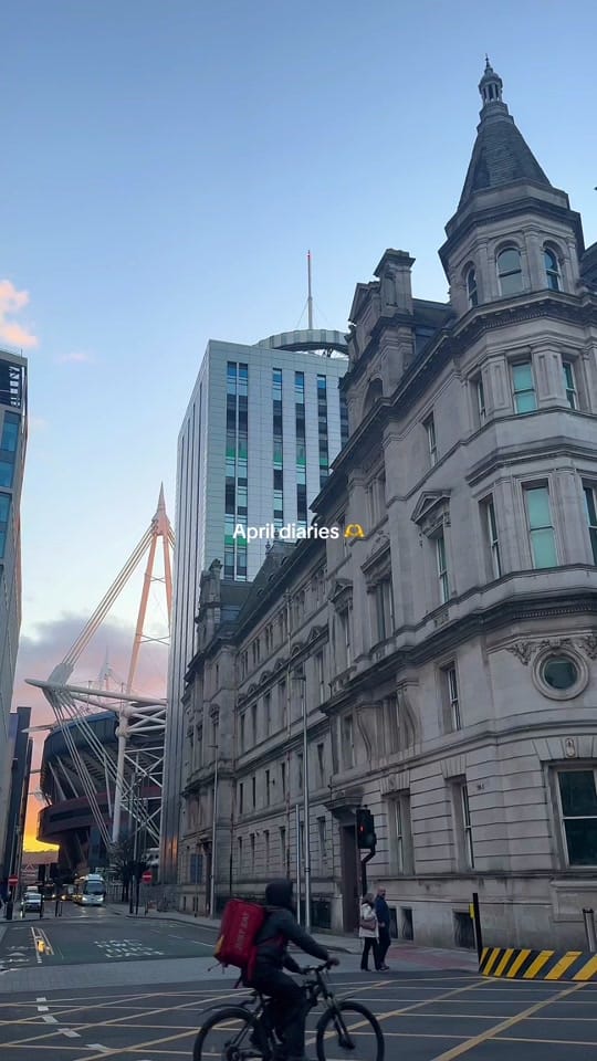 Post 6 by Elan on TikTok (video)