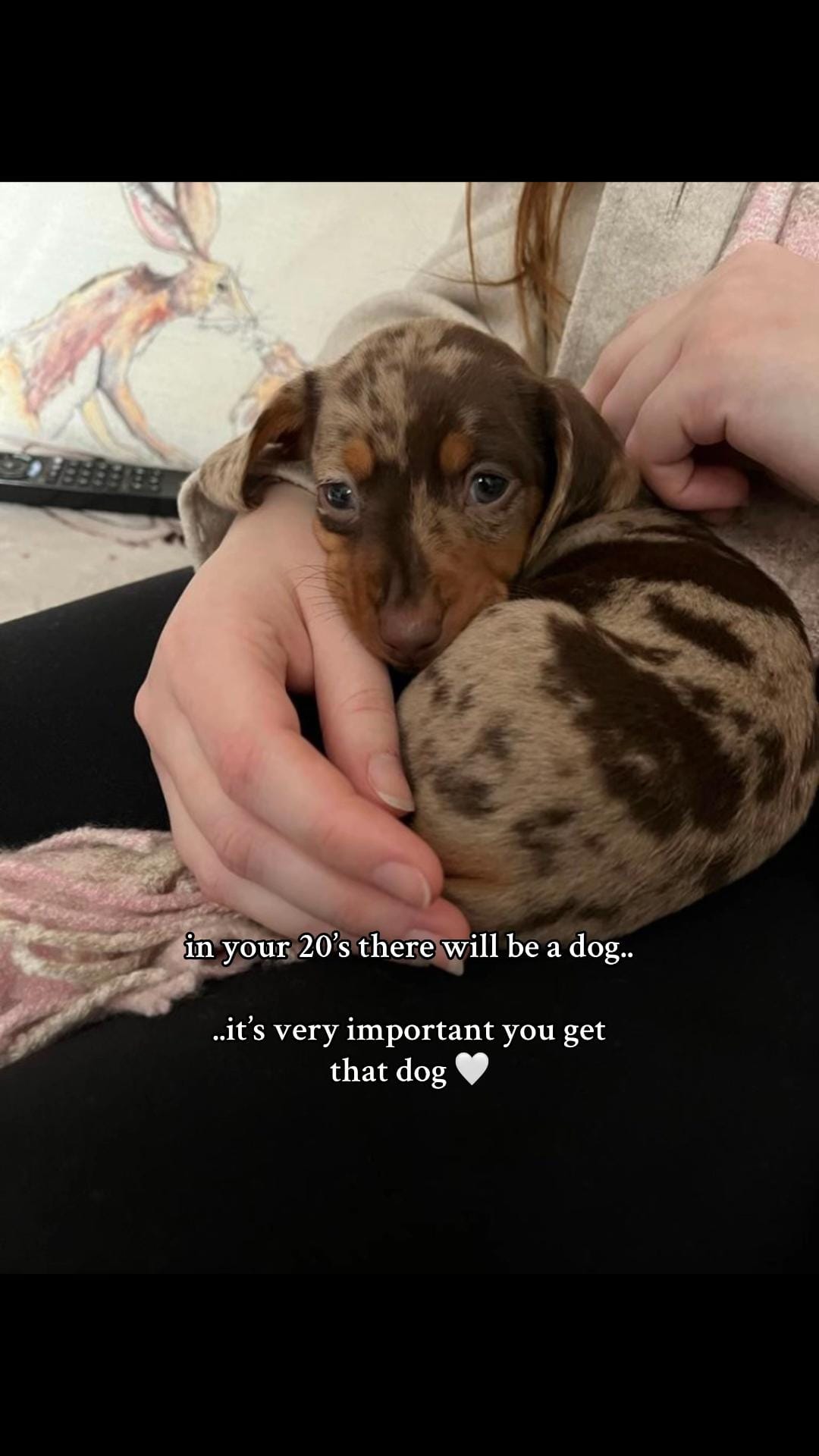 Post 7 by brody 🌭 on TikTok (video)