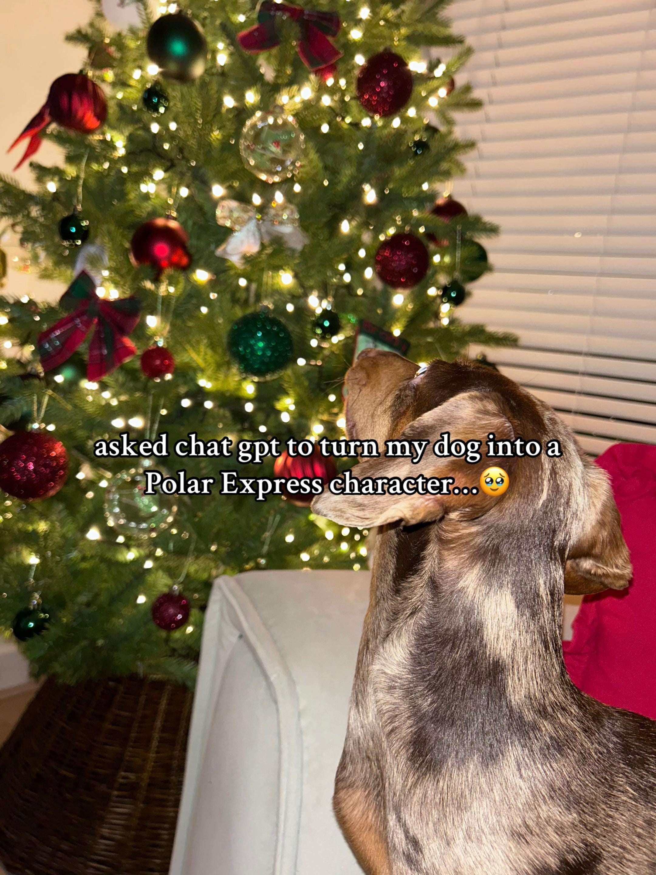 Post 4 by brody 🌭 on TikTok (video)