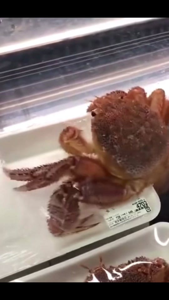 Post 10 by DARYL FELSBERG on TikTok (video)