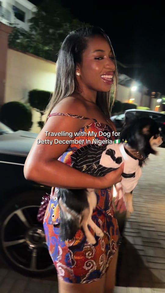 Post 4 by Abby & prince Lulu on TikTok (video)