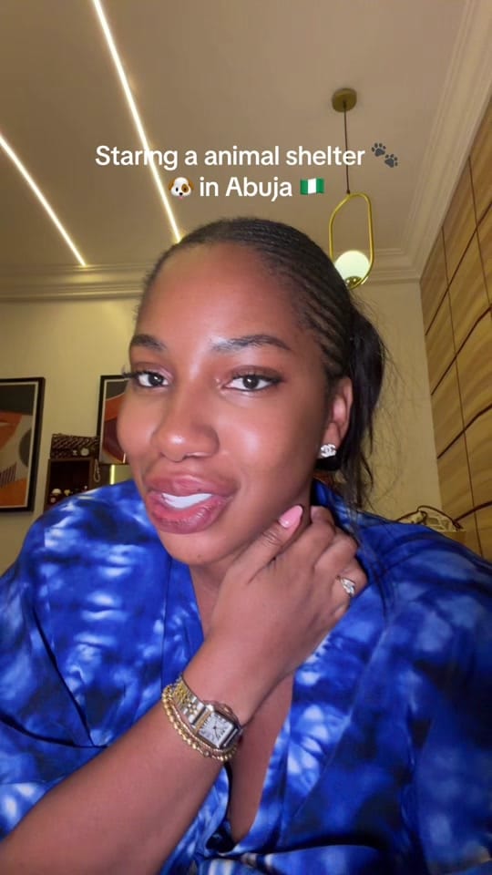 Post 3 by Abby & prince Lulu on TikTok (video)