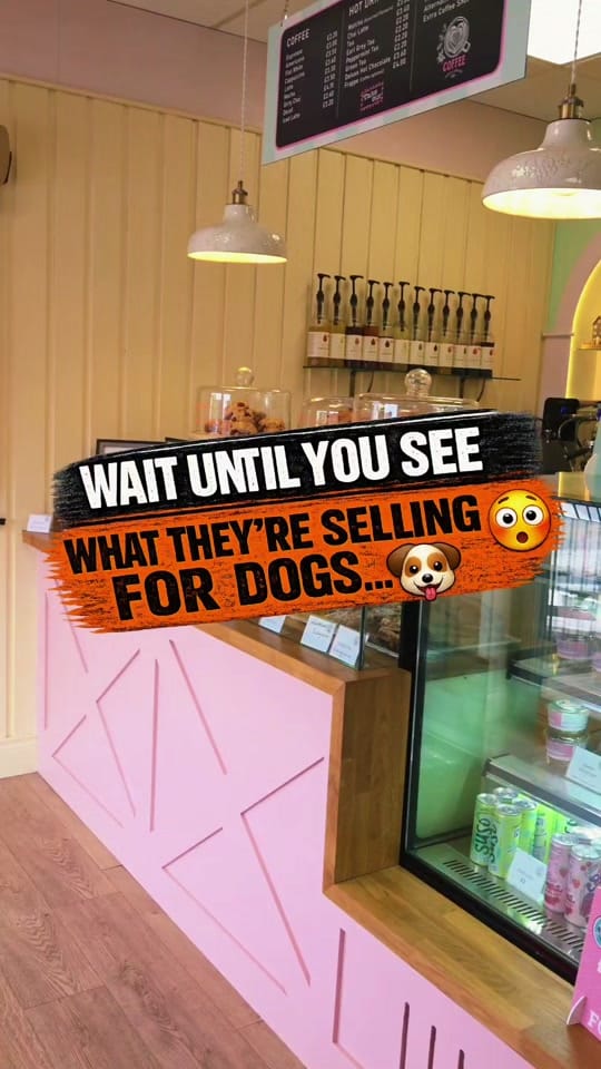 Post 1 by eatsleepreviewrepeat on TikTok (video)