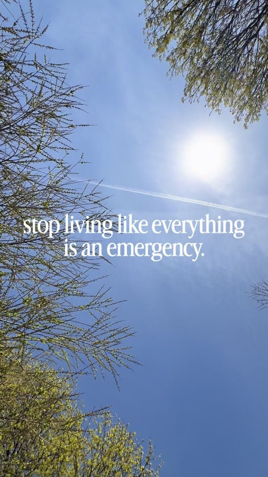 Post 6 by britt palys on TikTok (video)