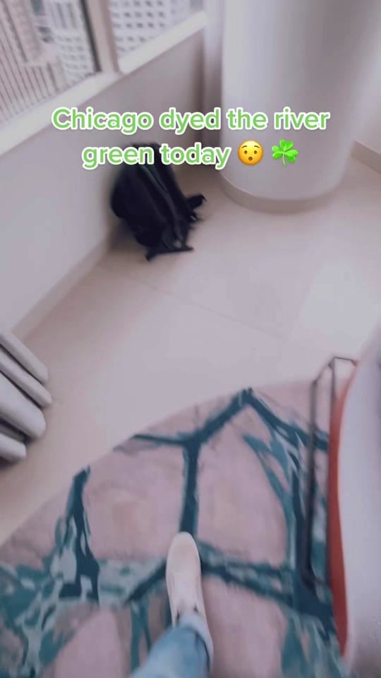 Post 4 by matt.jwood on TikTok (video)