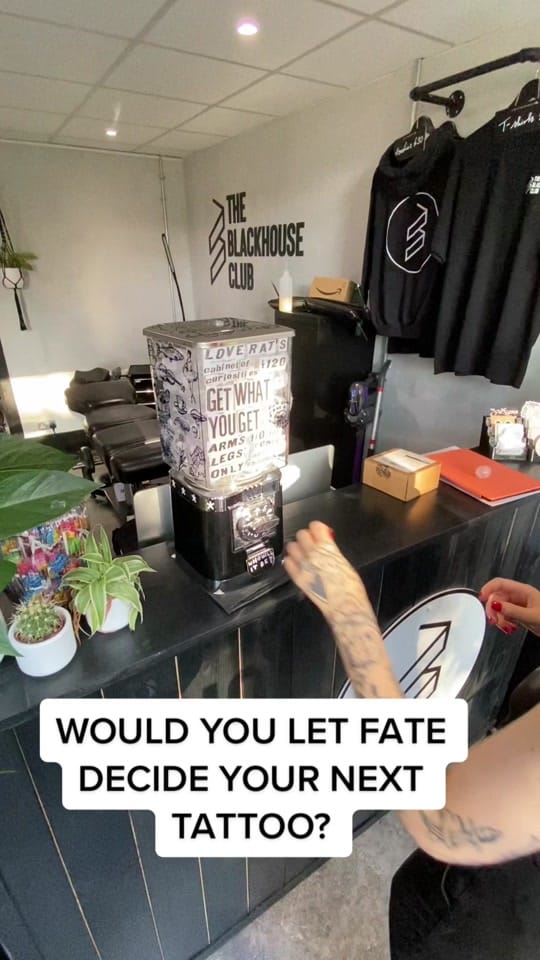 Post 10 by loverat on TikTok (video)