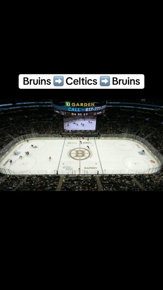 Post 9 by TD Garden on TikTok (video)