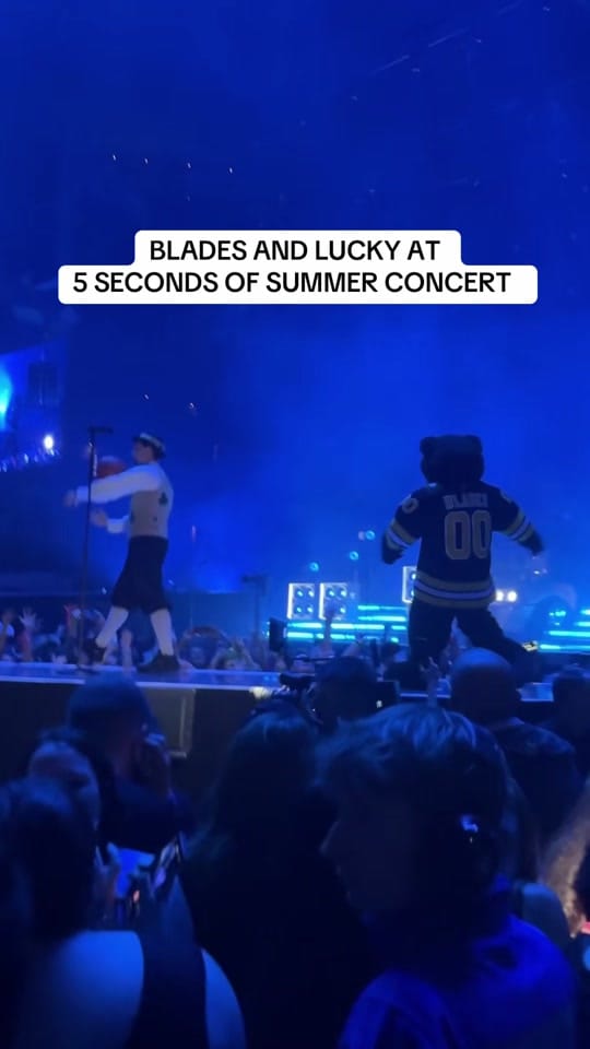 Post 7 by TD Garden on TikTok (video)