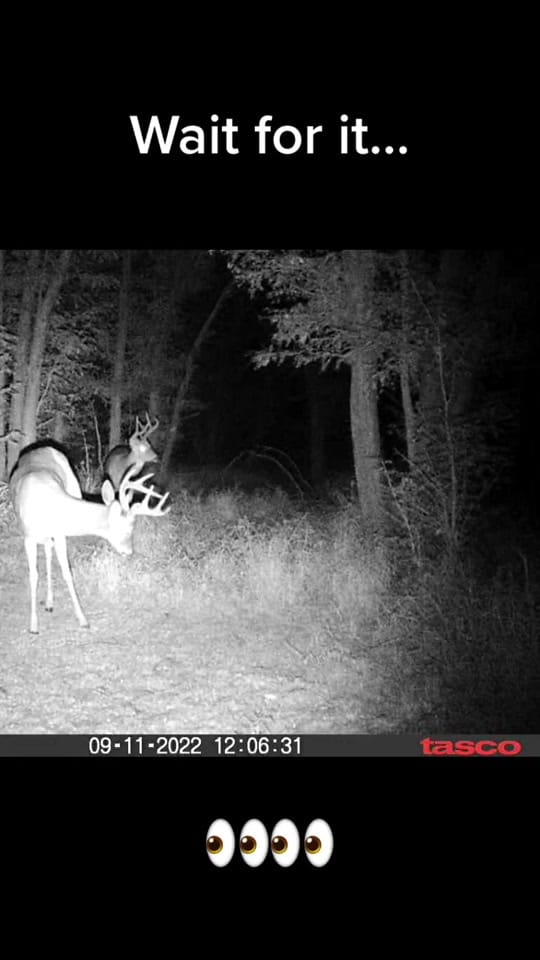Post 10 by Devon Degenhardt 🏹🦌📸 on TikTok (video)
