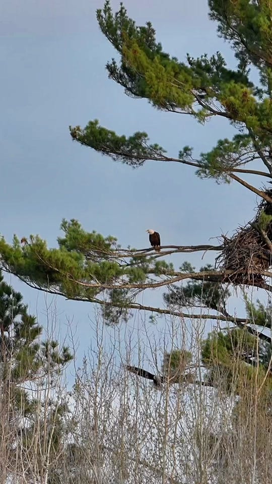 Post 5 by Devon Degenhardt 🏹🦌📸 on TikTok (video)