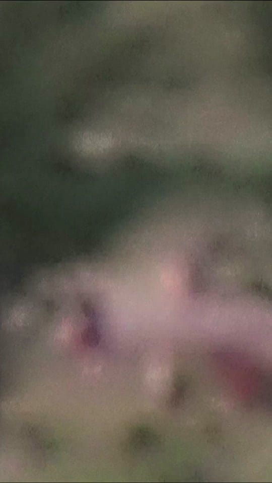 Post 1 by Devon Degenhardt 🏹🦌📸 on TikTok (video)