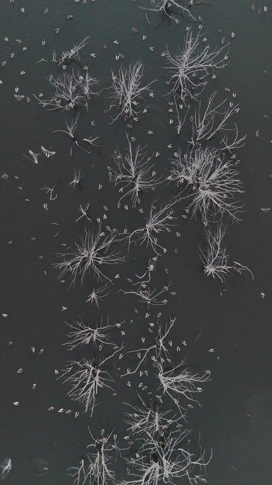 Post 3 by Devon Degenhardt 🏹🦌📸 on TikTok (video)