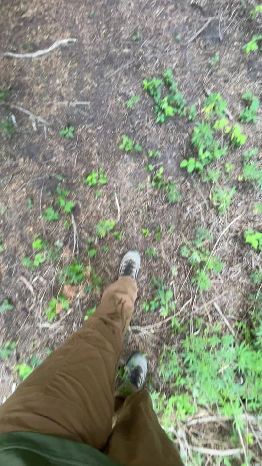 Post 4 by Devon Degenhardt 🏹🦌📸 on TikTok (video)