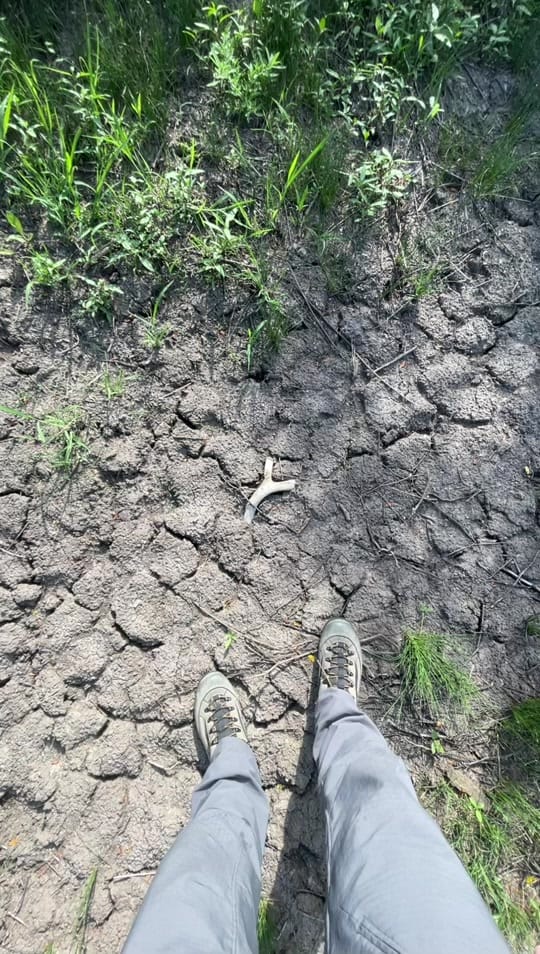 Post 2 by Devon Degenhardt 🏹🦌📸 on TikTok (video)