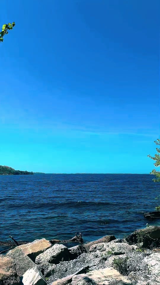 Post 2 by Linda 🇨🇦 In 🏴󠁧󠁢󠁳󠁣󠁴󠁿 on TikTok (video)