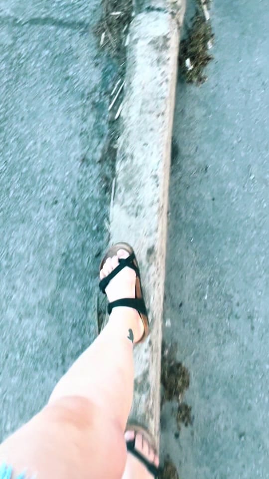 Post 6 by Linda 🇨🇦 In 🏴󠁧󠁢󠁳󠁣󠁴󠁿 on TikTok (video)