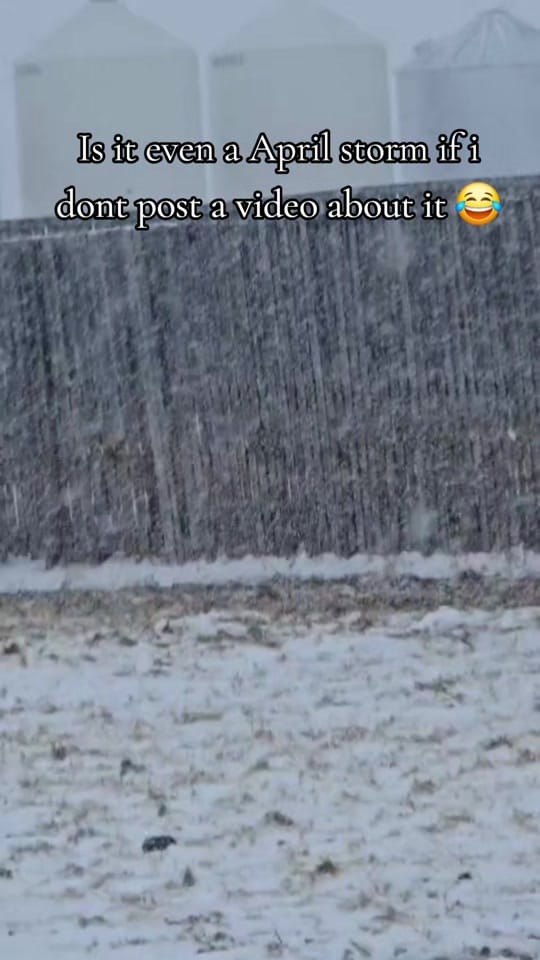 Post 4 by Victoria Pearl on TikTok (video)