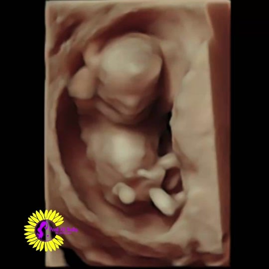 Post 2 by peekatbaby4d on TikTok (video)