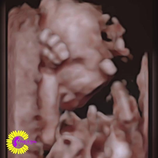 Post 5 by peekatbaby4d on TikTok (video)
