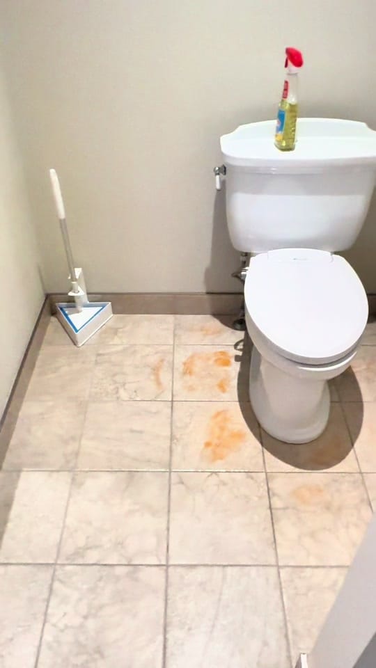 Post 8 by Pottymop on TikTok (video)
