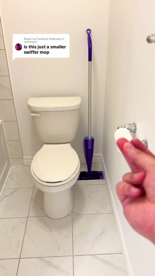 Post 3 by Pottymop on TikTok (video)