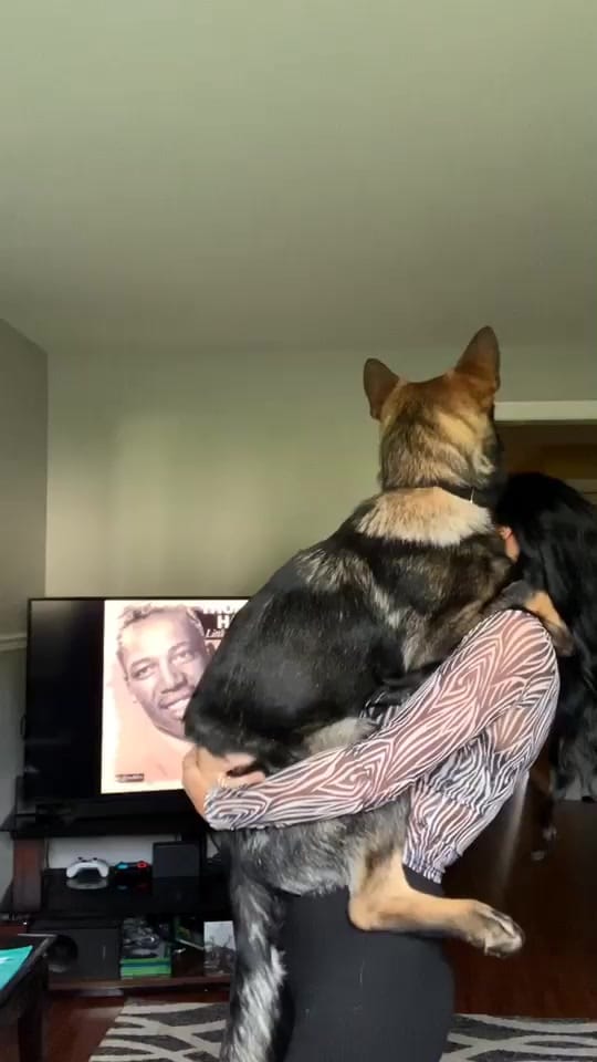 Post 10 by jenniferhennessey on TikTok (video)