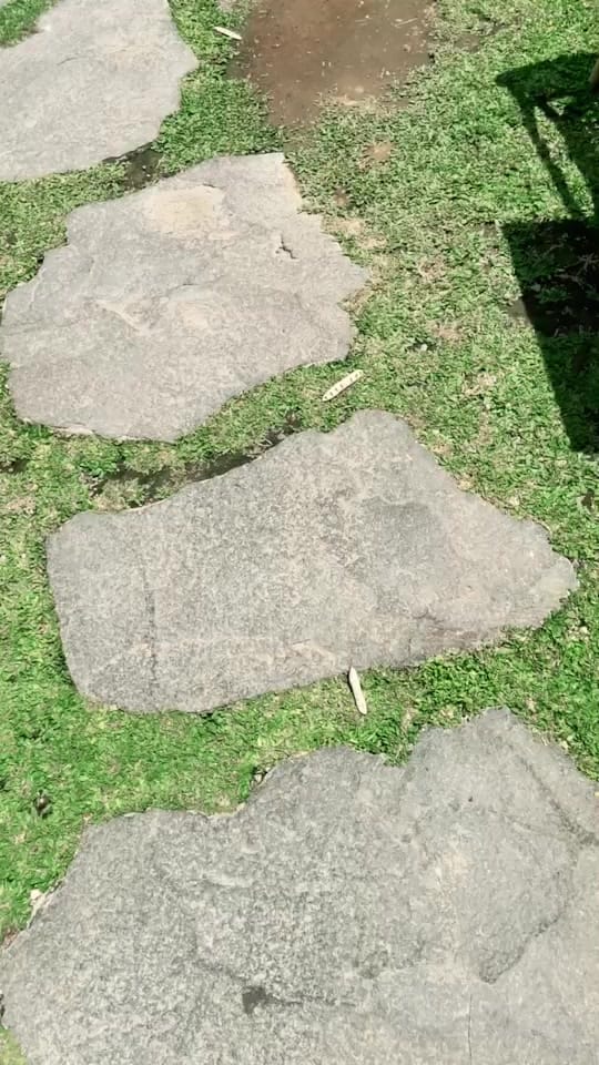 Post 4 by Andy Maher on TikTok (video)