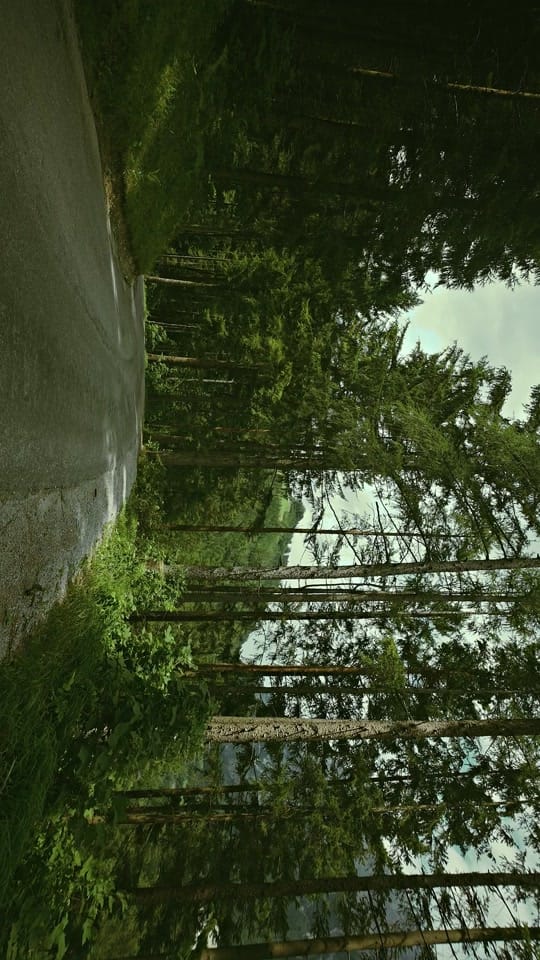 Post 5 by nicole regine on TikTok (video)