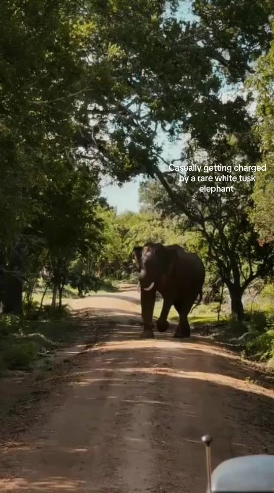 Post 3 by Mens Travel on TikTok (video)
