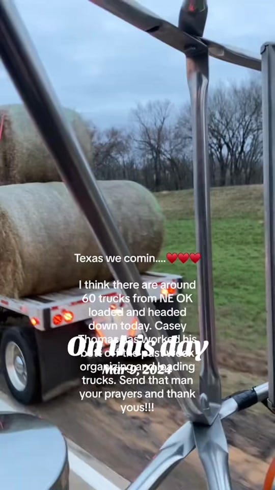 Post 6 by Chelle on TikTok (video)