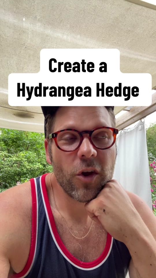 Post 9 by GardeningGrant 🇨🇦 on TikTok (video)