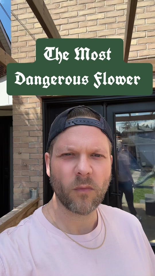 Post 10 by GardeningGrant 🇨🇦 on TikTok (video)