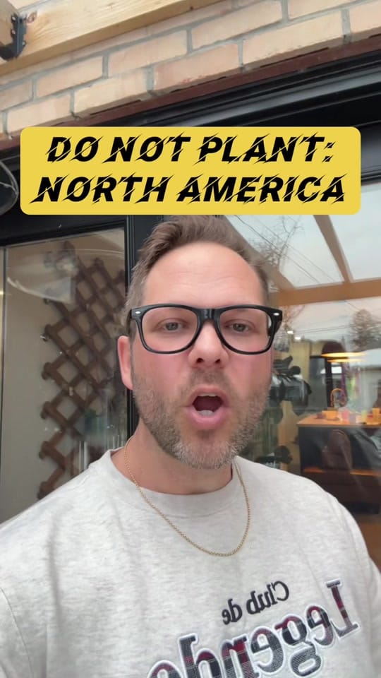 Post 8 by GardeningGrant 🇨🇦 on TikTok (video)