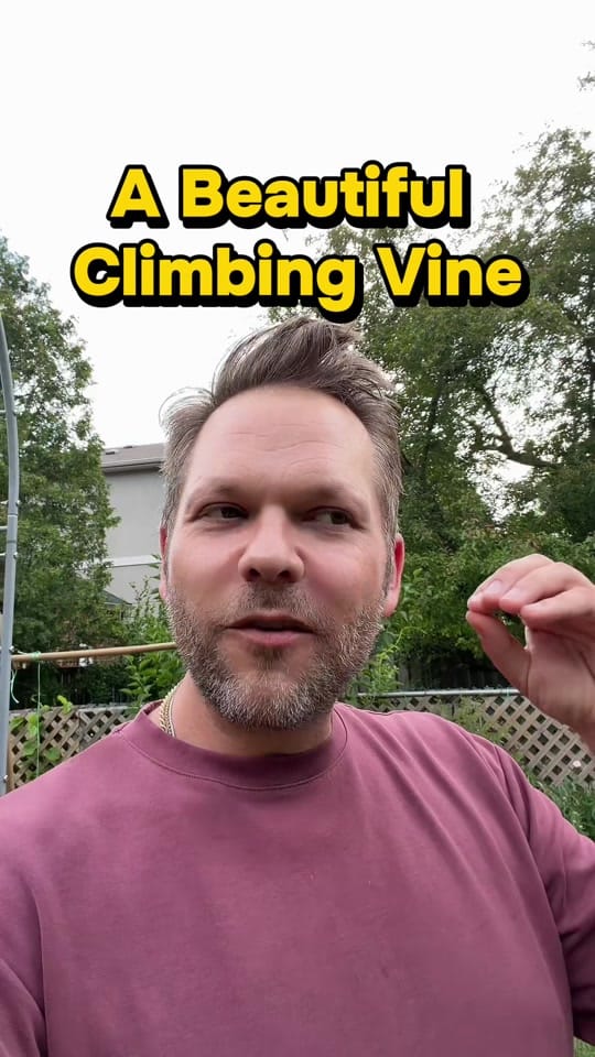 Post 4 by GardeningGrant 🇨🇦 on TikTok (video)