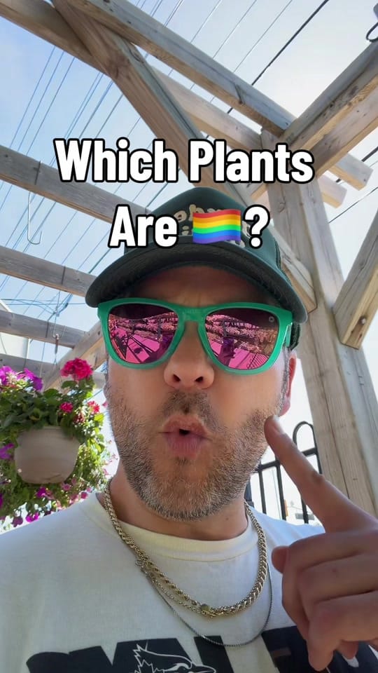 Post 7 by GardeningGrant 🇨🇦 on TikTok (video)