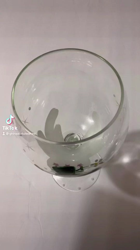 Post 7 by Ghina on TikTok (video)