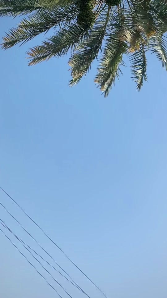 Post 6 by Mr Aziza USA on TikTok (video)