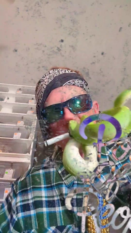 Post 3 by Constrictly Business on TikTok (video)