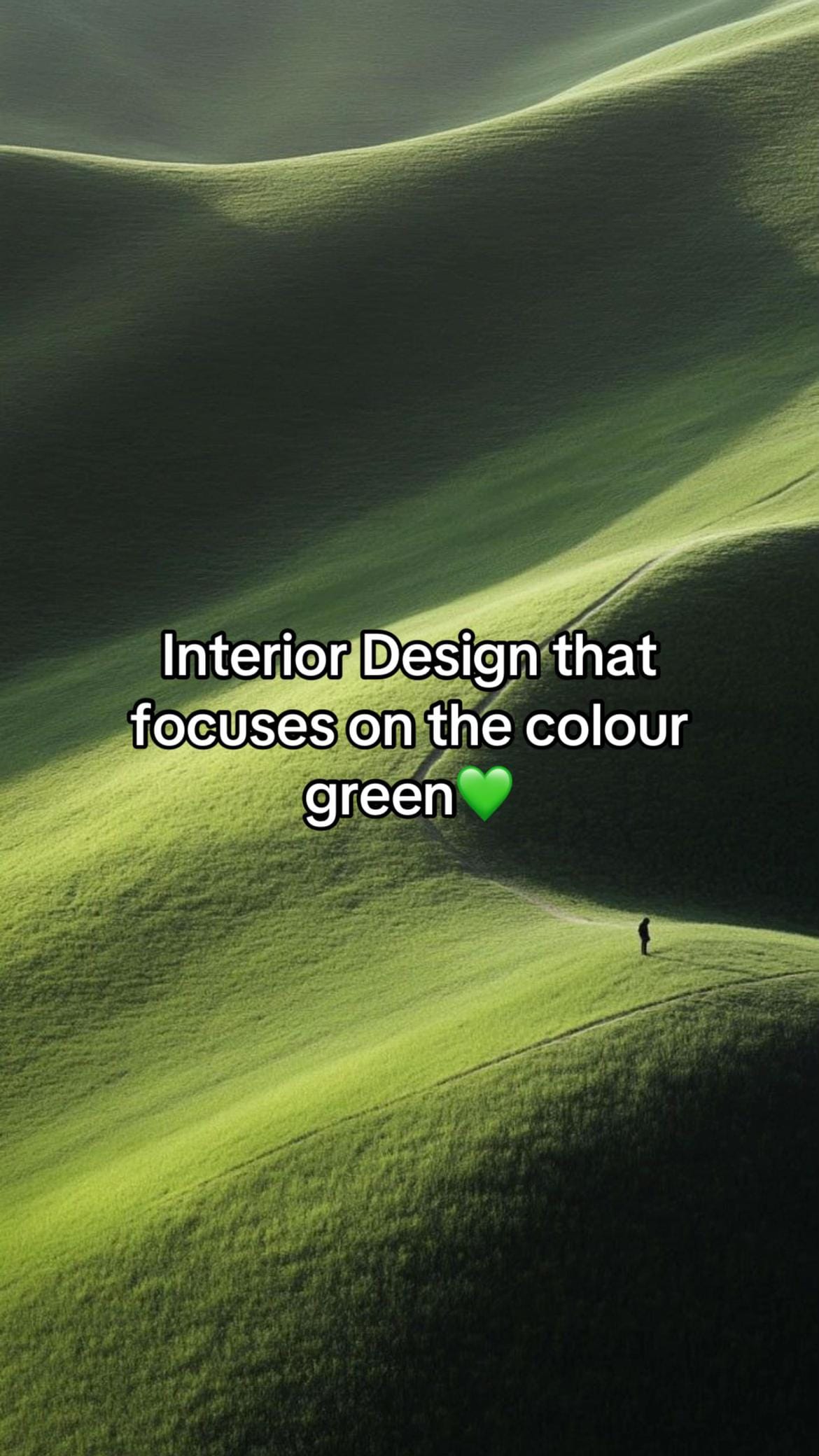 Post 4 by Kalia Design🪴✨🦢 on TikTok (video)