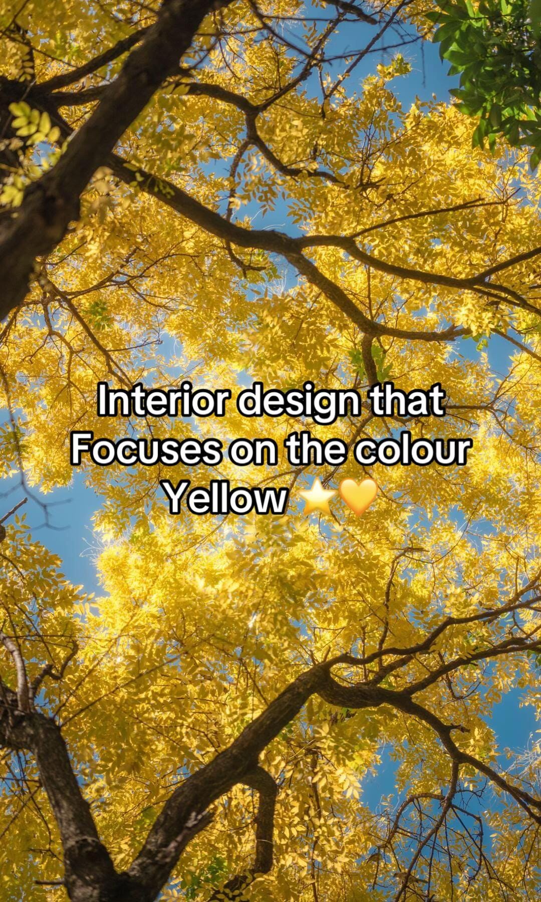 Post 3 by Kalia Design🪴✨🦢 on TikTok (video)