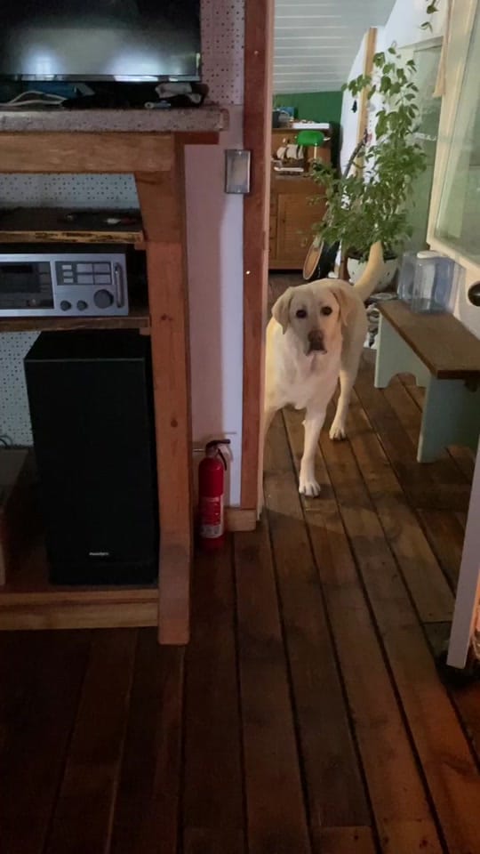 Post 9 by Cedar and Stone Farm 🇨🇦 on TikTok (video)