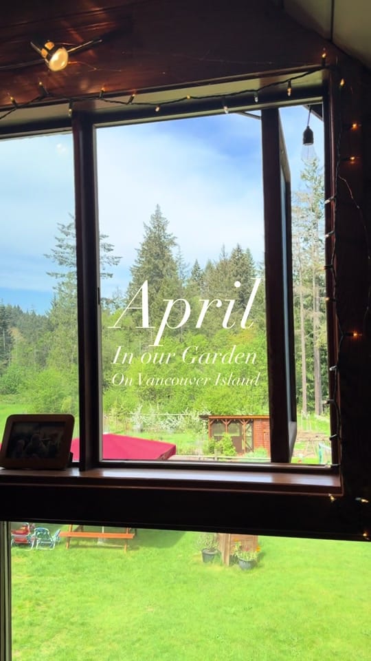 Post 4 by Cedar and Stone Farm 🇨🇦 on TikTok (video)