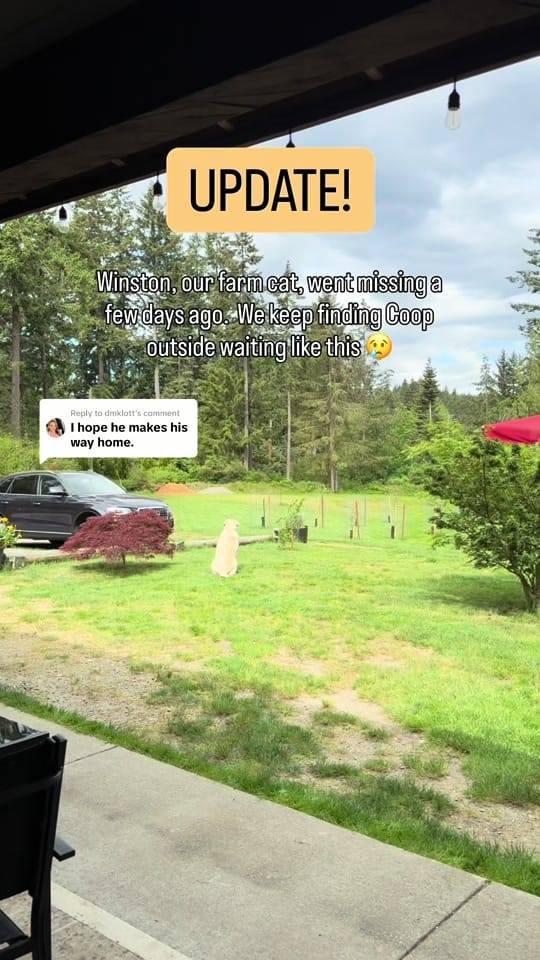 Post 2 by Cedar and Stone Farm 🇨🇦 on TikTok (video)