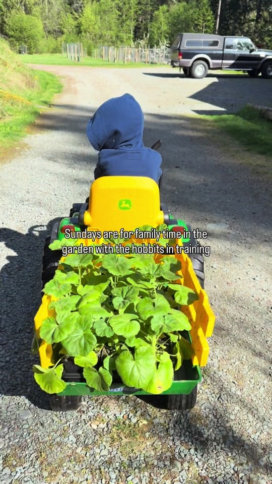 Post 7 by Cedar and Stone Farm 🇨🇦 on TikTok (video)