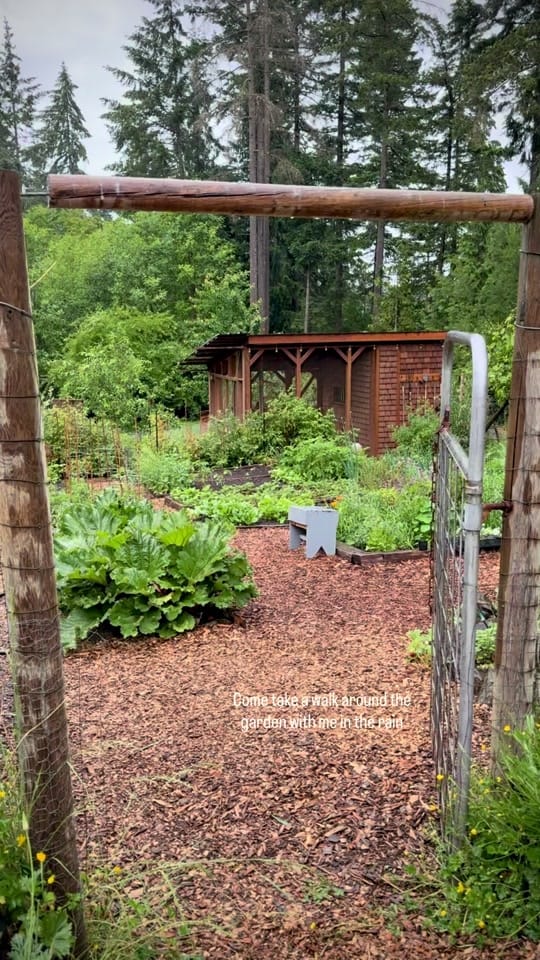 Post 1 by Cedar and Stone Farm 🇨🇦 on TikTok (video)