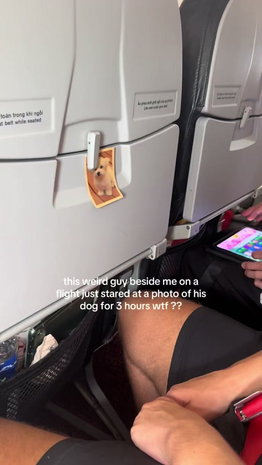 Post 9 by mollyspiers on TikTok (video)