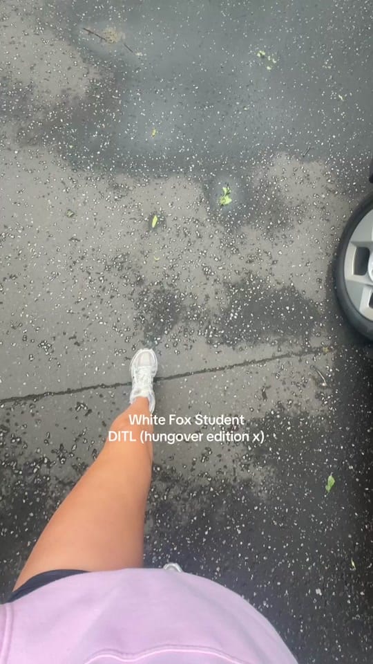 Post 3 by mollyspiers on TikTok (video)