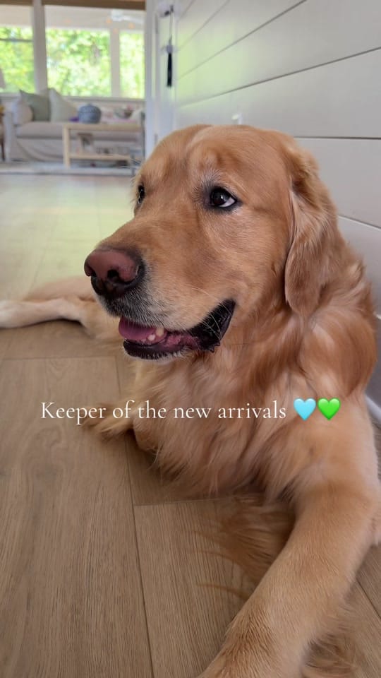 Post 4 by House of Péarla | Interiors on TikTok (video)