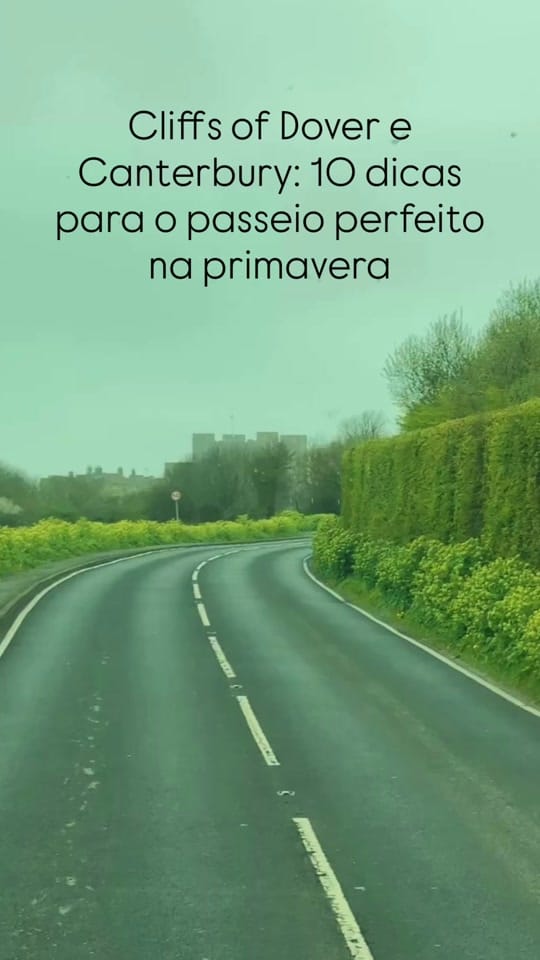 Post 2 by Fernanda Andrade on TikTok (video)